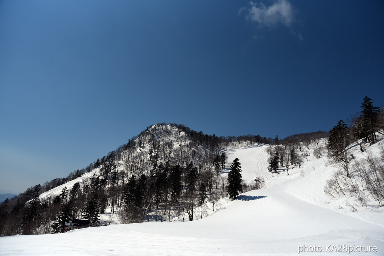 富良野スキー場　山頂の積雪は 192cm!! 春の『THE DAY』到来☆